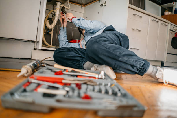 Best Sprinkler Systems  in Evart, MI