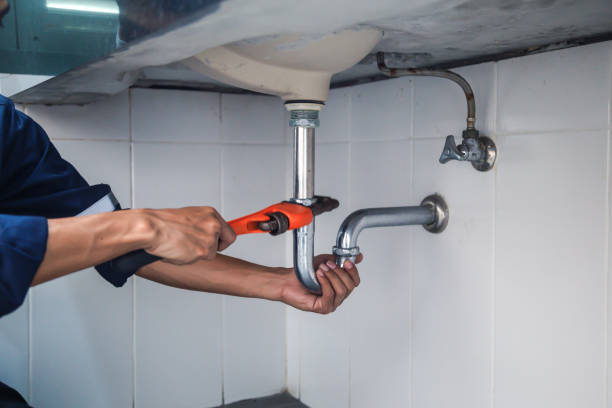 Best Best Plumbers Near Me  in Evart, MI