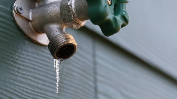 Best Affordable Plumber Near Me  in Evart, MI